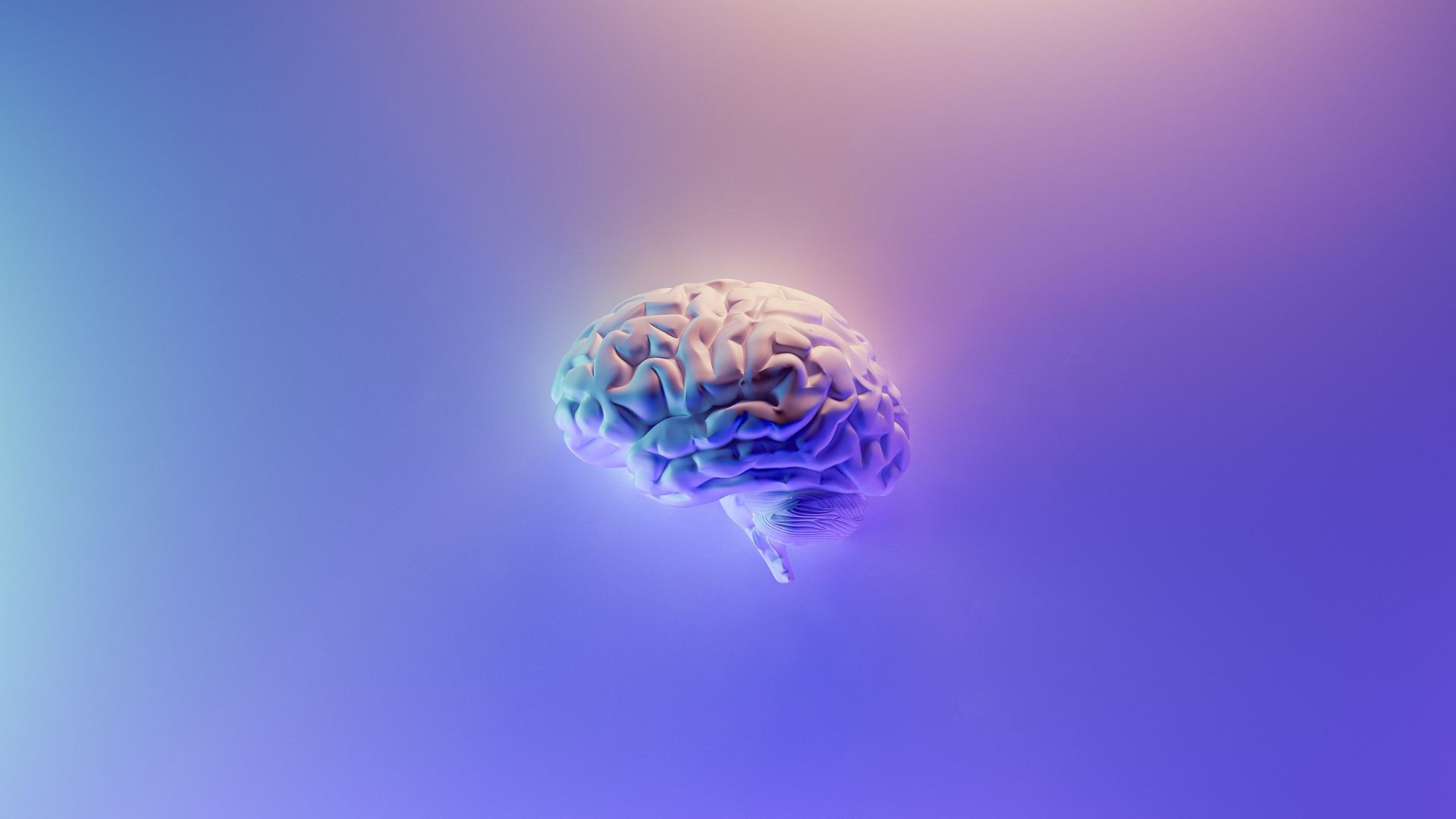Lenguajes, la programación de mi cerebro