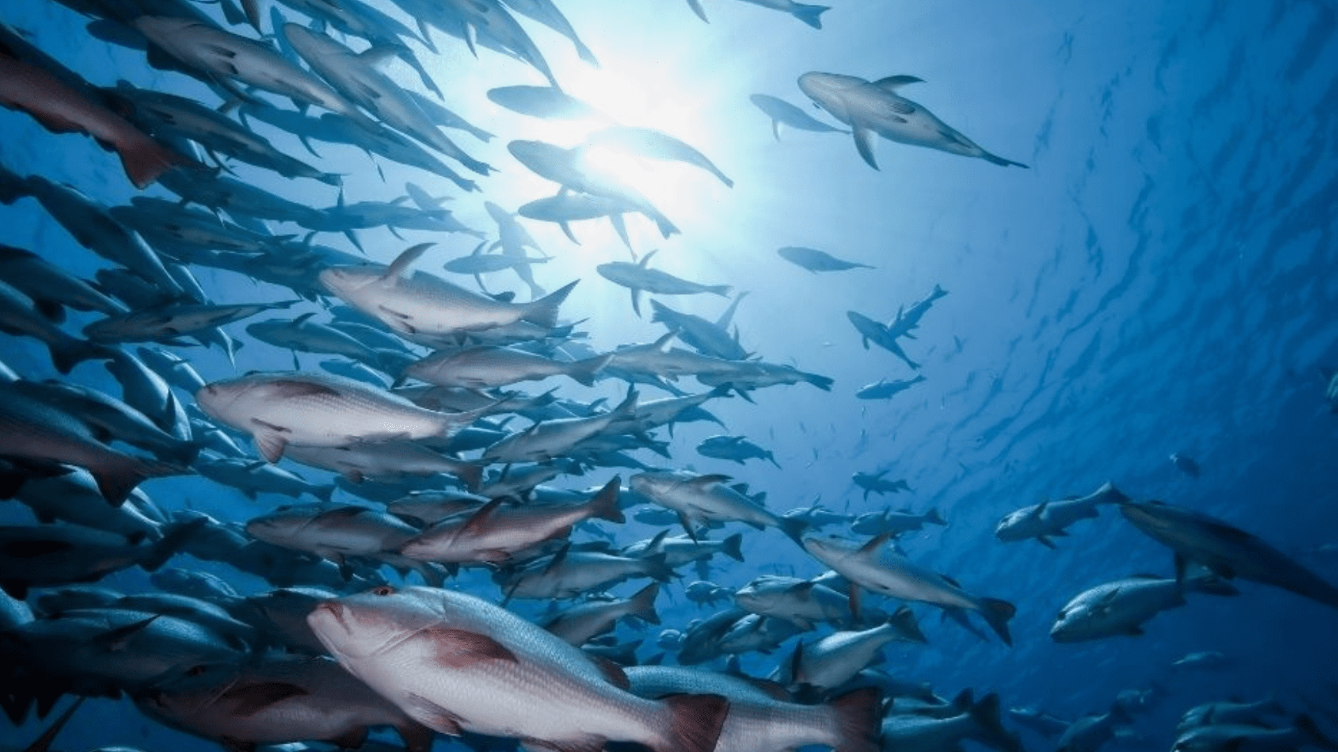 Dibaq Group, la compañía que demuestra que el modelo familiar llega tan lejos como quiera