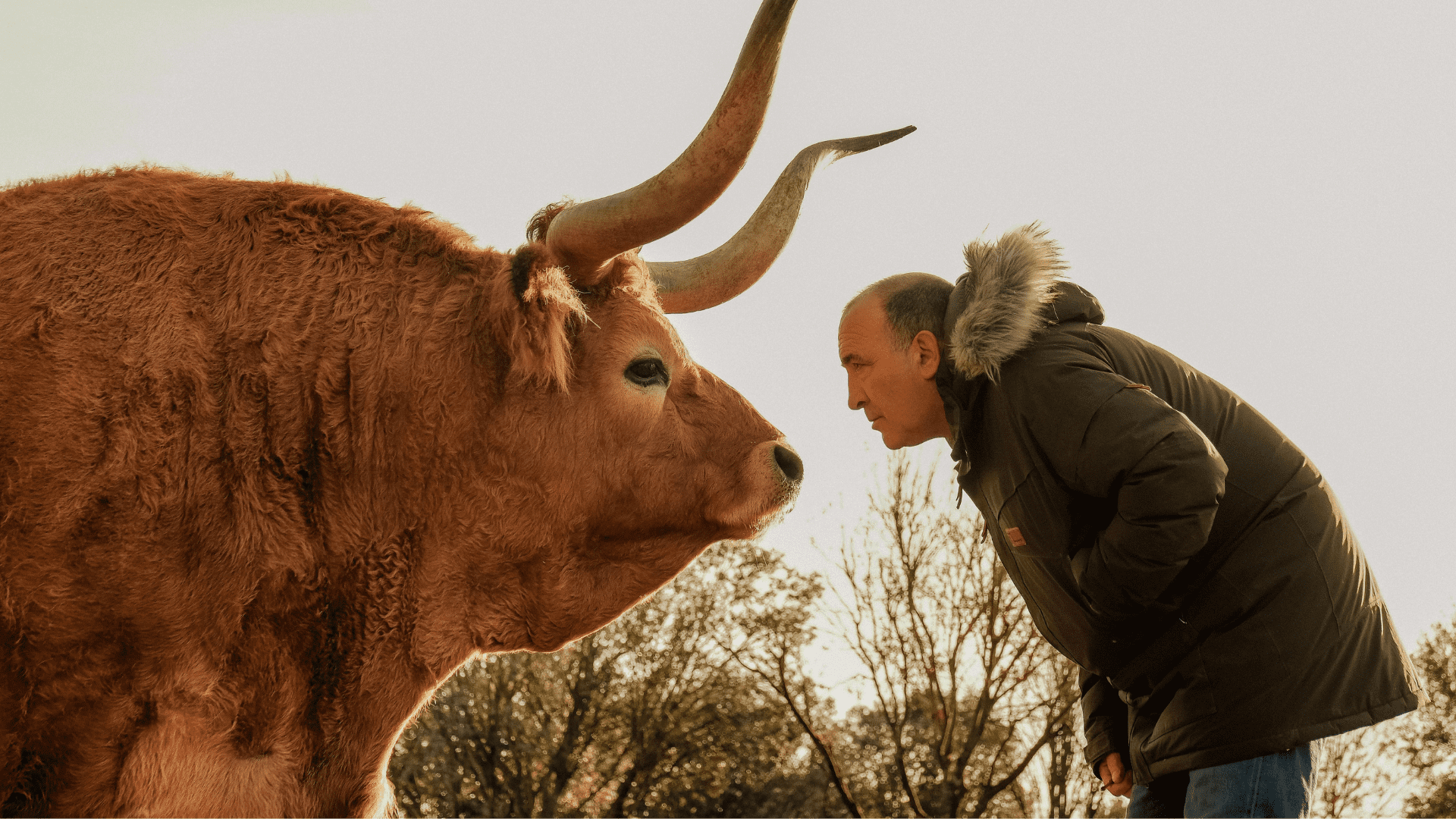 “El Arte en Carne”, un concepto elaborado con tiempo y mimo por El Capricho de José Gordón