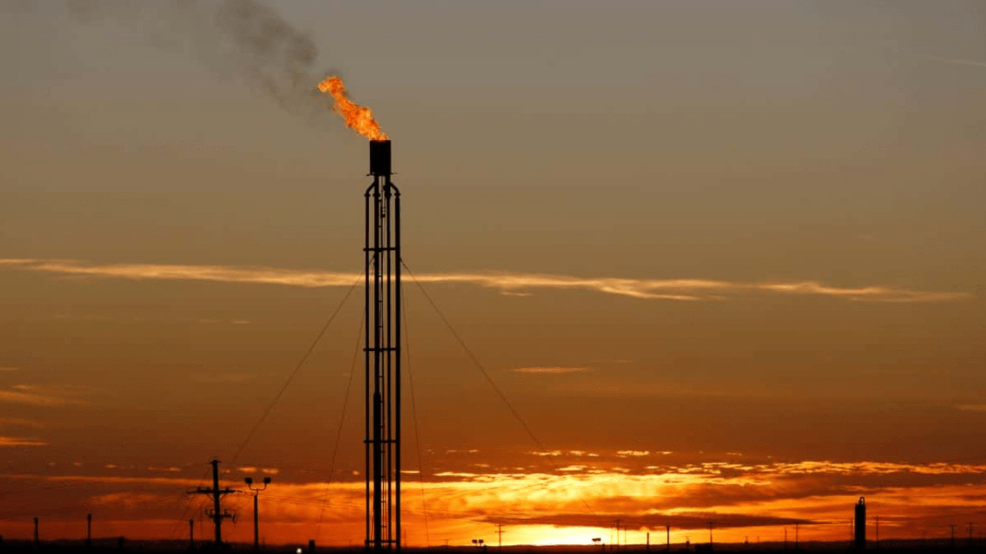 Gestión inteligente de los datos para escalar cultivos y ecommerce