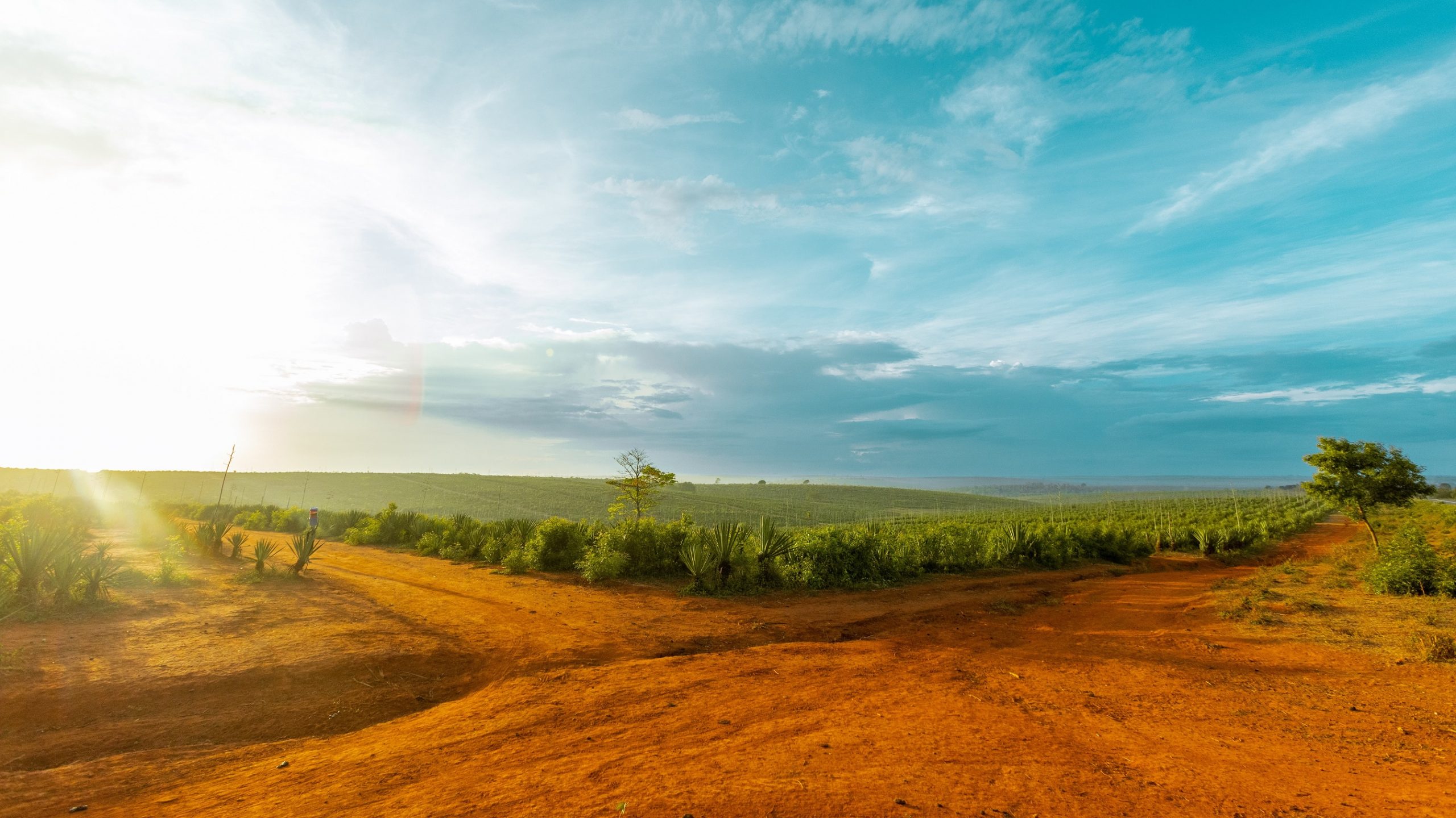 Los Estados y el dilema de la innovación social