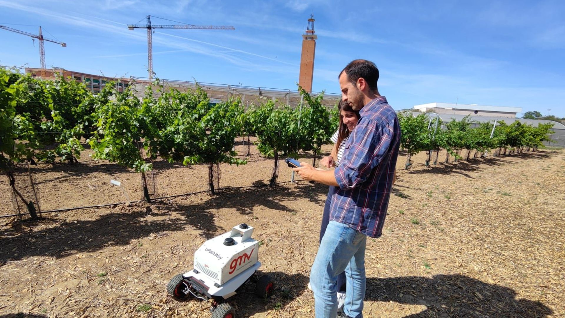 Talento tecnológico innovador para impulsar la agricultura digital y sostenible