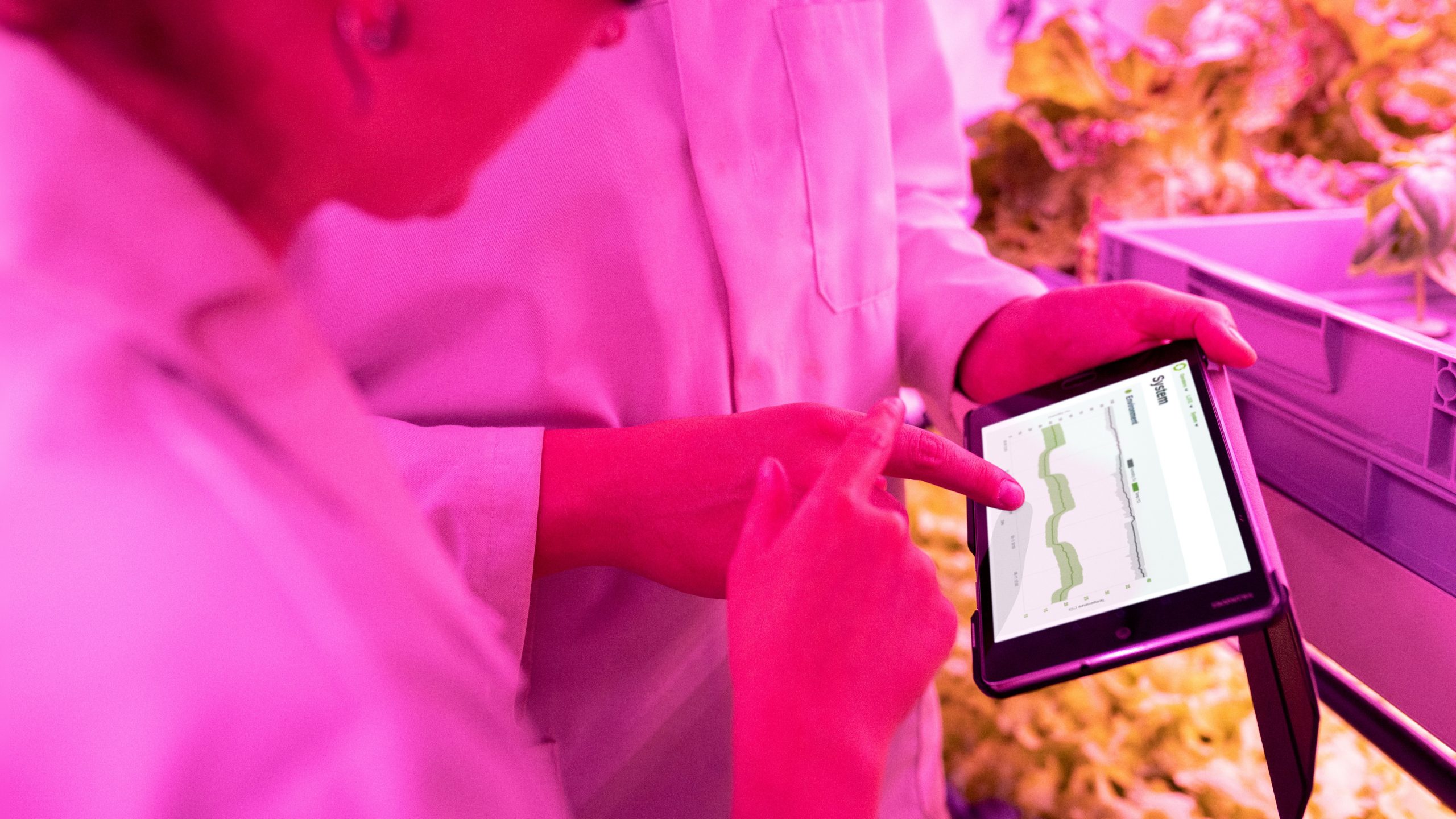 Fedacova lanza una iniciativa para acelerar la transformación digital de las empresas agroalimentarias valencianas