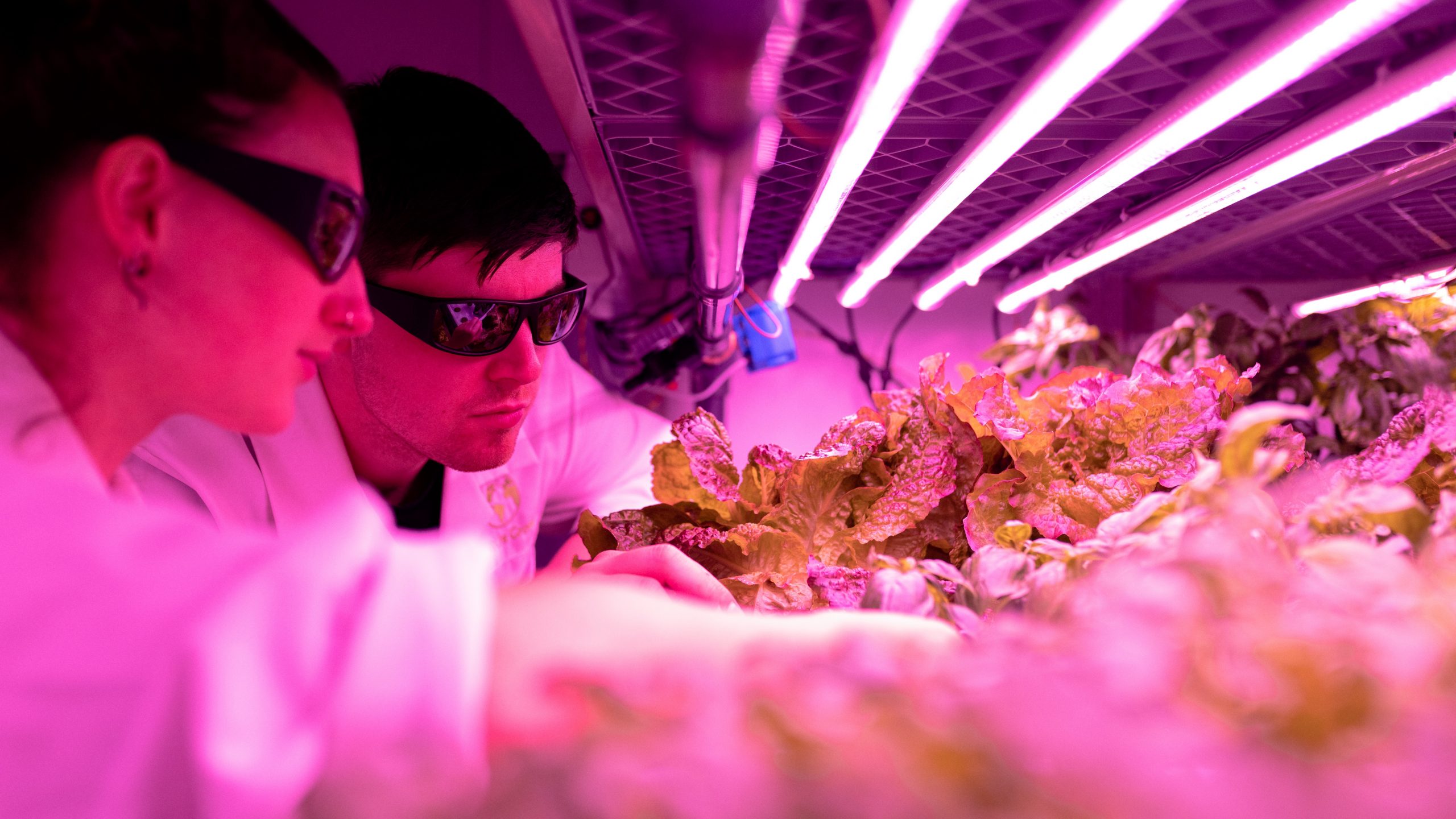 Vitartis y Atlas Tecnológico presentan las Soluciones Innovadoras para la Industria Agroalimentaria