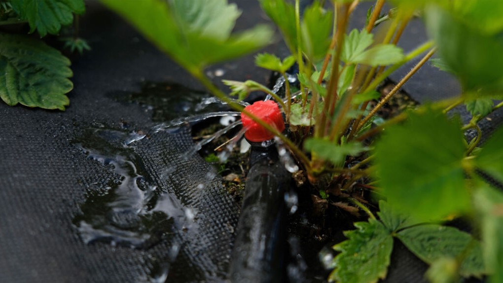 Hacia la eficiencia hídrica con hololens y riego inteligente