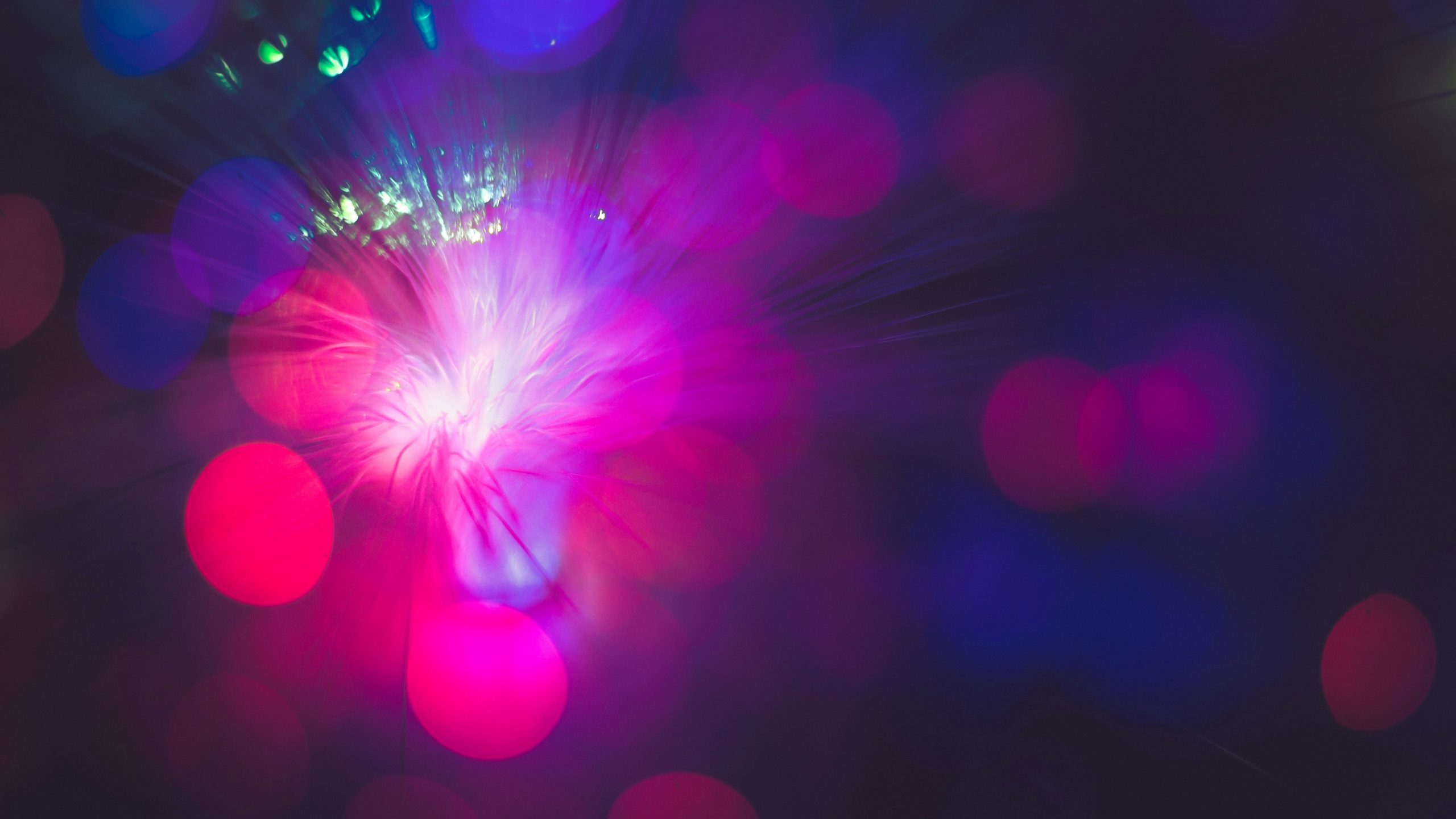 ¿Y si tuviéramos un Nvidia entre las manos?