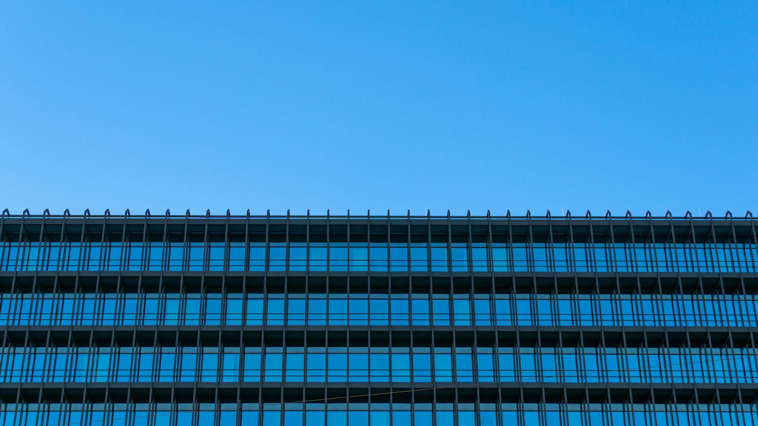 «¡Están locos, van a morir!» De la dependencia a la servidumbre por renunciar a las patentes