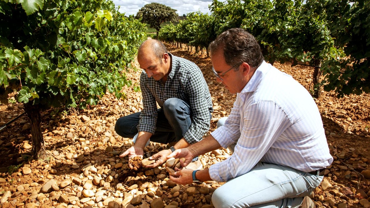 Líderes en vino blanco con sello de innovación: Bodega Cuatro Rayas desarrolla proyectos de I+D que apuestan por la sostenibilidad