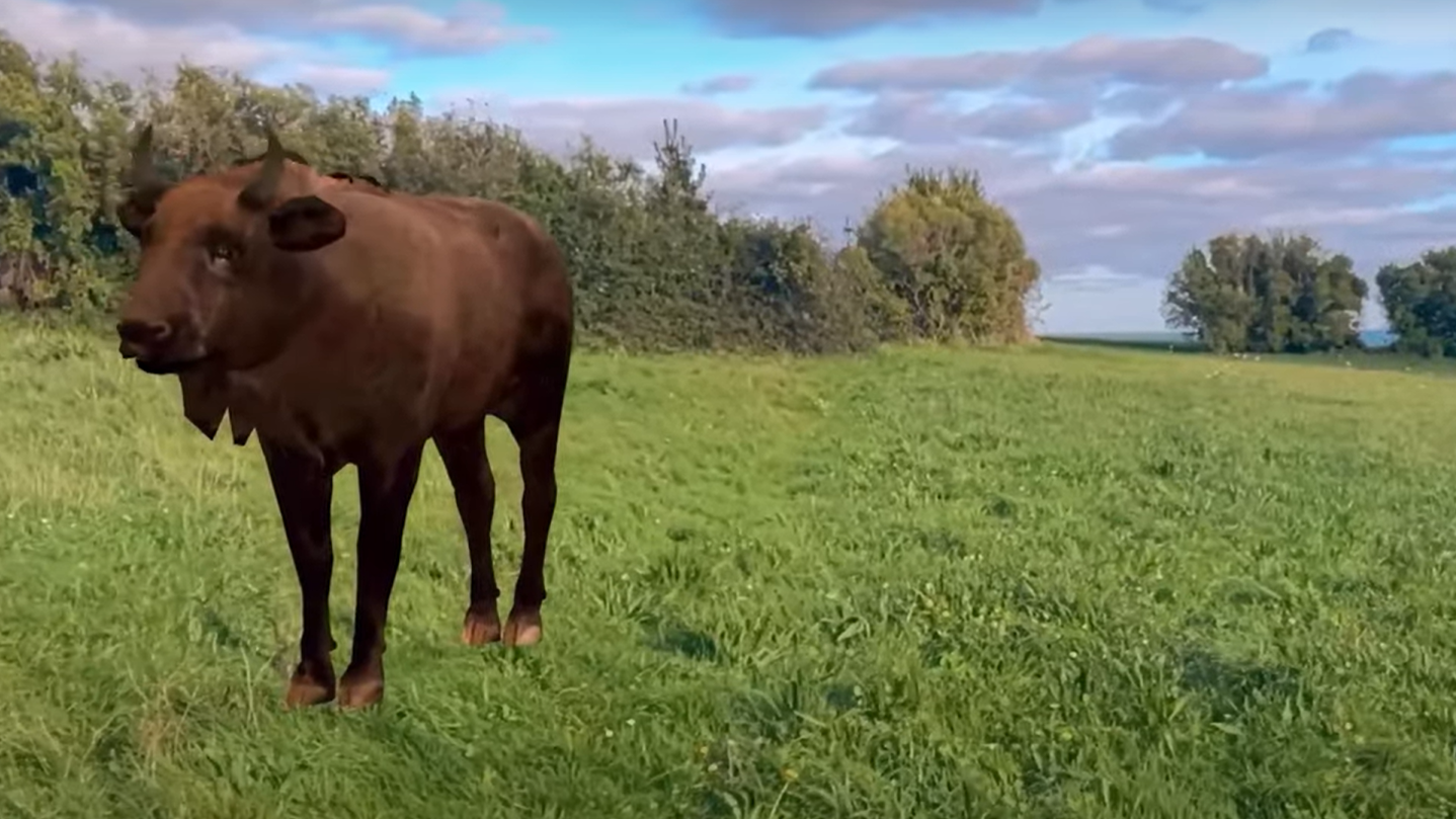 Automatización logística farmacéutica, previsión de demanda eléctrica y realidad aumentada en turismo