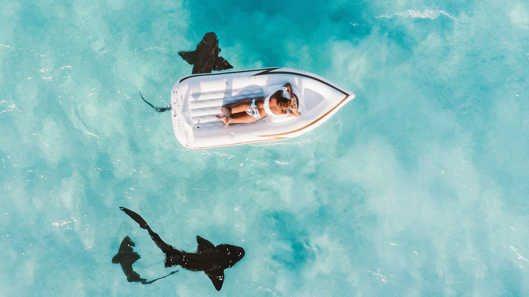 El nuevo ‘patrón oro’ para la era de las reformas impulsadas por la tecnología