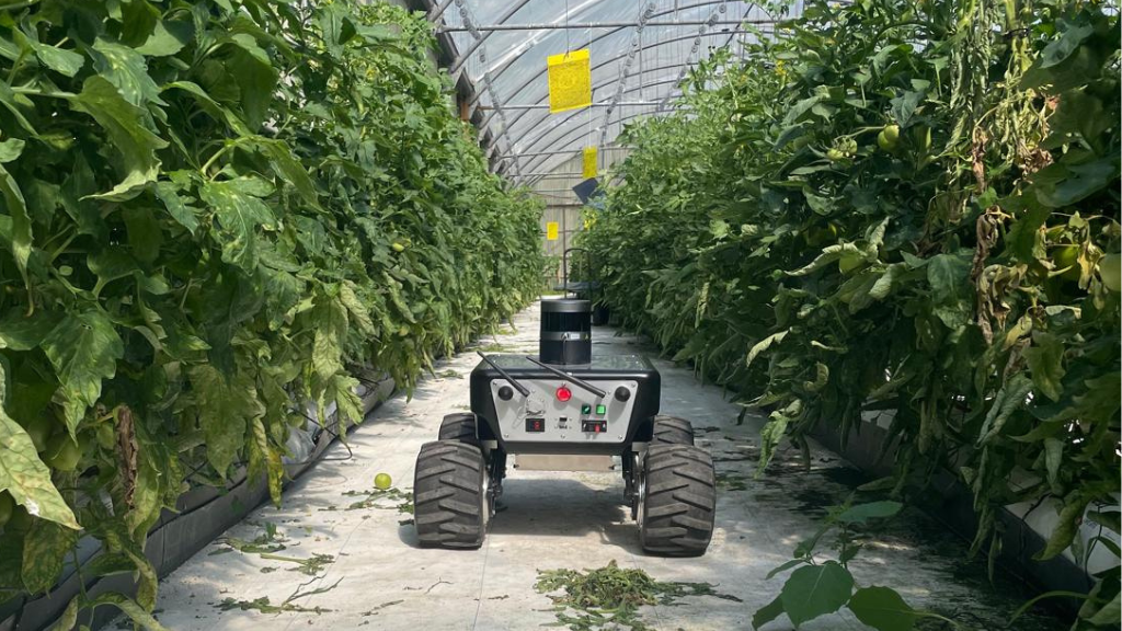 Escaparate de ideas: robots en invernaderos, RFID para textil en hospitales, telerehabilitación y modernización ferroviaria